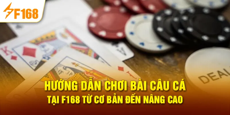 Hướng dẫn chơi bài câu cá tại F168 từ cơ bản đến nâng cao